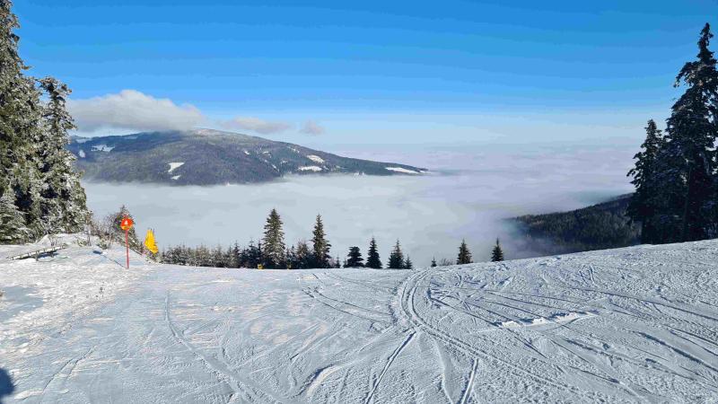 Ski-Landesmeisterschaften